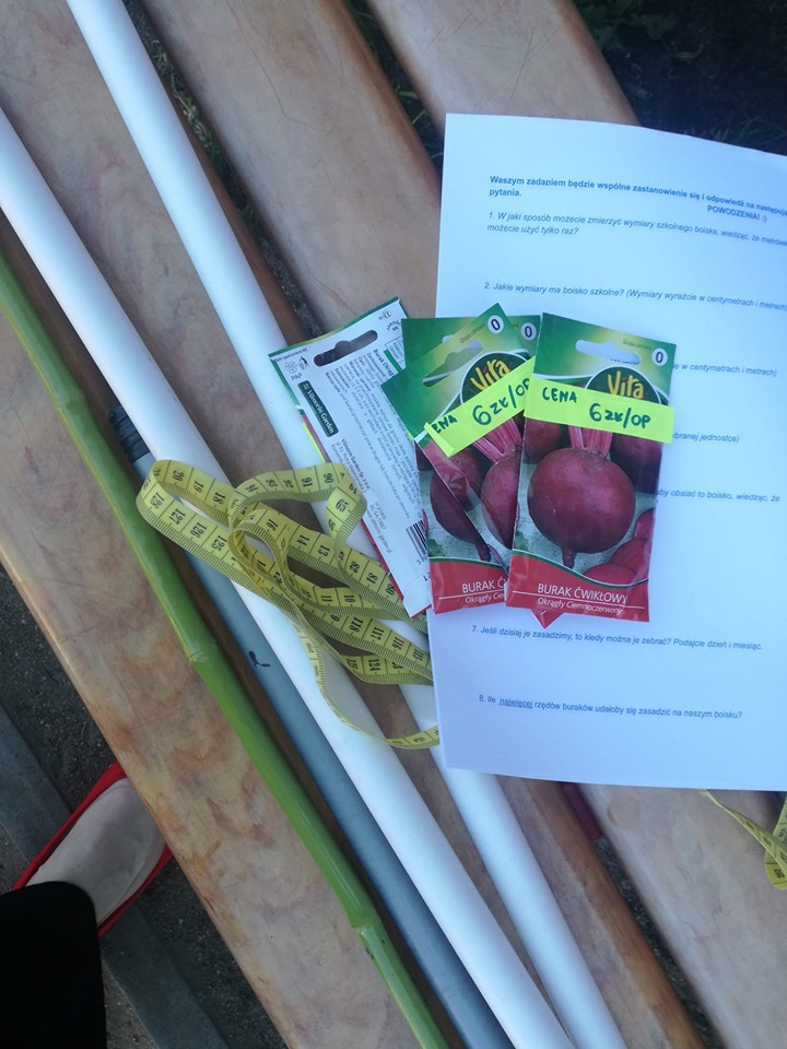 62140240_444117026419886_4419784732158459904_n